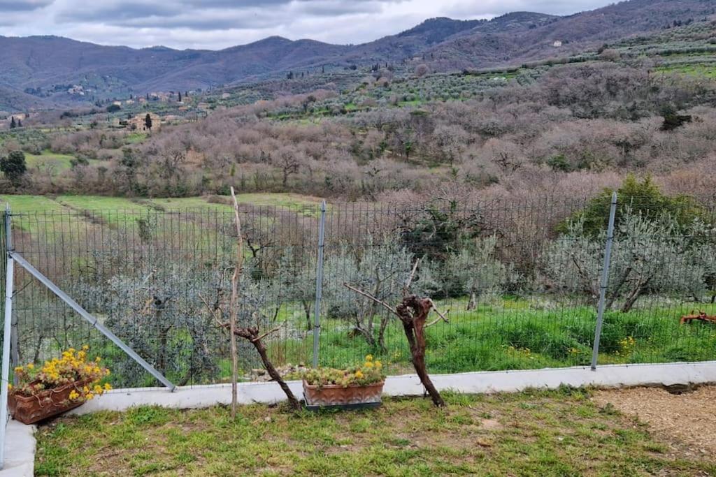 Апартаменты Petreto Il Giardino Dei Limoni Кастильон-Фьорентино Экстерьер фото
